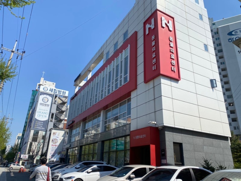 노원N동물병원 3살강아지 건강검진