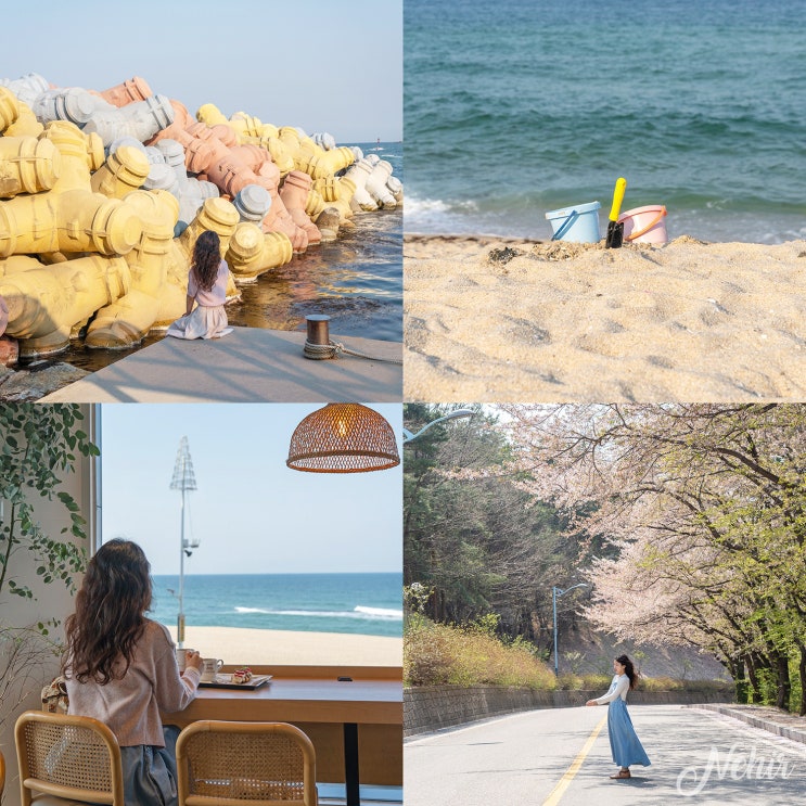 강릉 여행 코스 남산공원 안목해변 카페거리 4월 가볼만한곳