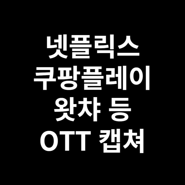  pc 크롬에서 쿠팡플레이, 왓챠, 넷플릭스 캡쳐하는 방법