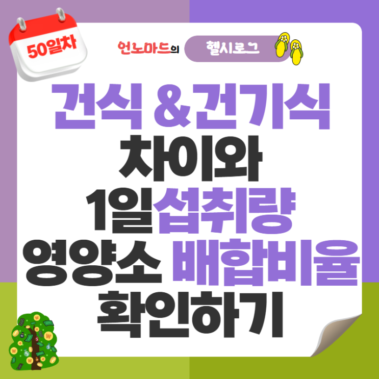  50일차, 건강식품과 건강기능식품 차이와 1일섭취량, 영양소 배합 비율 확인하기