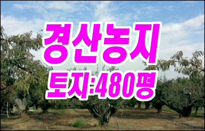 경산농지경매 와촌면 소월리 농지 과수원 경매물건 경산농지경매 와촌면 소월리 농지 과수원 경매물건