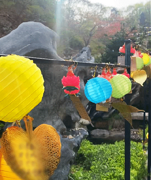  용인 와우정사 : 신기하고 이국적인 사찰