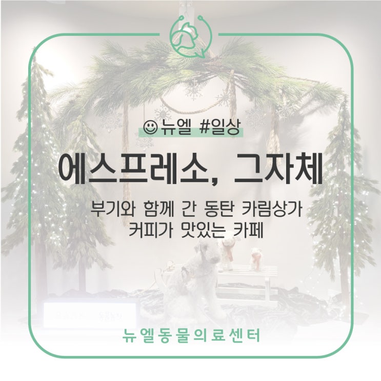  [2동탄] 진한 커피로 하루를 시작하고 싶을 때 - 에스프레소, 그자체 동탄점 (반려동물 동반)️