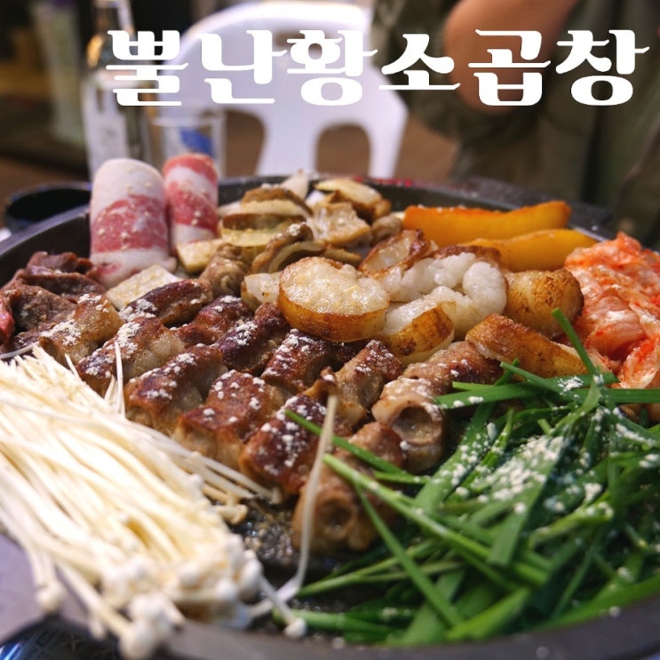  [미사역 맛집] 애견동반가능한 뿔난황소 곱창 후기