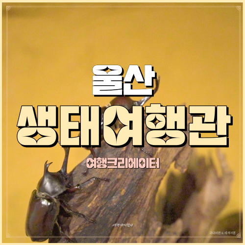 울산광역시 남구 옥동 아이들과 함께 갈만한 울산대공원 생태여행관