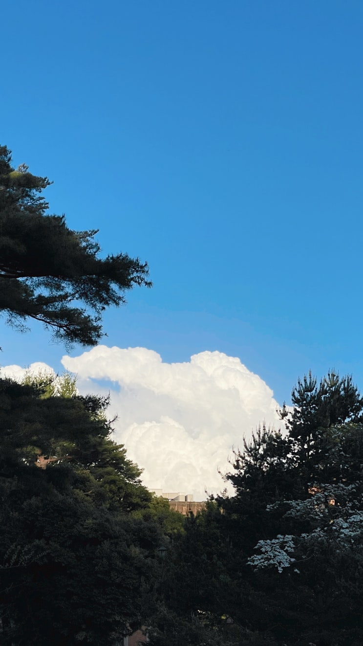  【80, 주간기록 15주차】 죽음의 개강 첫 주 | 날씨는 좋은데 자외선은 싫어