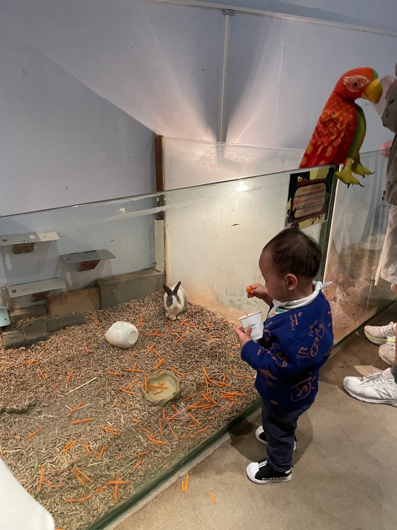 돌아기치약 무불소로 달달하게 : 네이버 블로그, image size:800x1067