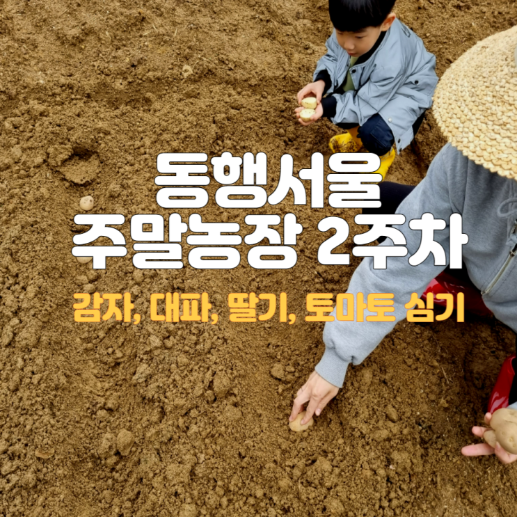 동행 서울 친환경농장 2023년 주말농장 2주차 (수역이농장)
