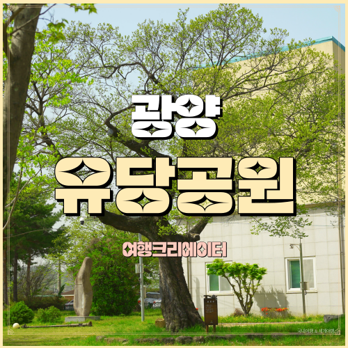  전남 광양 가볼 만한 곳 유당공원 천연기념물 이팝나무