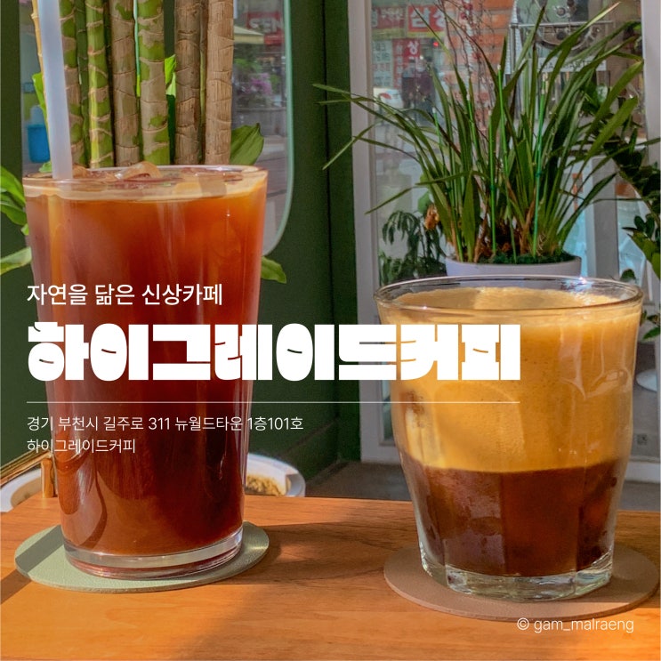  하이그레이드커피 자연을 닮은 신상카페