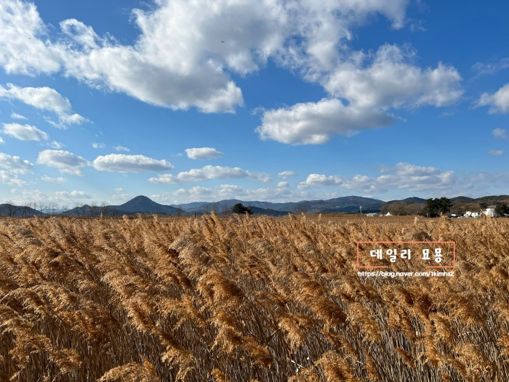  순천 여행 순천 가볼 만한 곳 : 순천만습지, 순천만국가정원