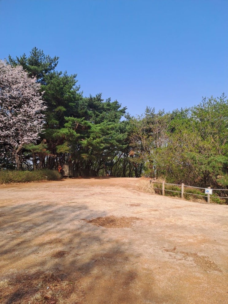  기판력과 사정변경