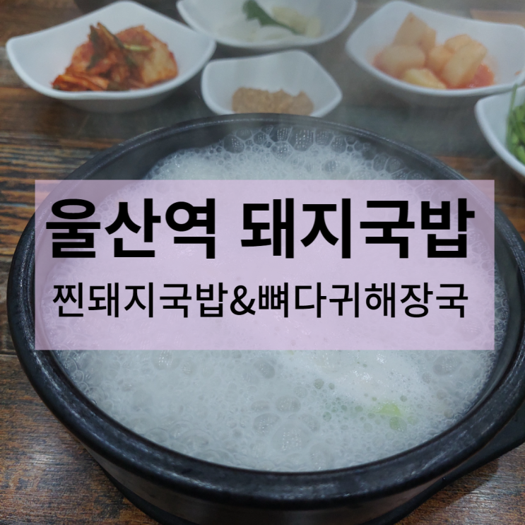  울산역 돼지국밥 - 찐돼지국밥&뼈다귀해장국