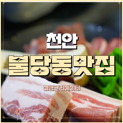  천안 불당동 고기집 삼겹살 소금구이 맛집 불당그집