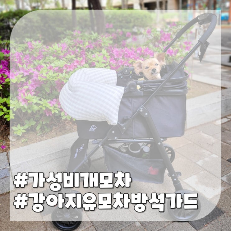  강아지 유모차 페리가토,방석 가드까지 가성비 좋은 애견용품