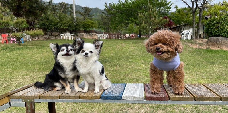 사진 5