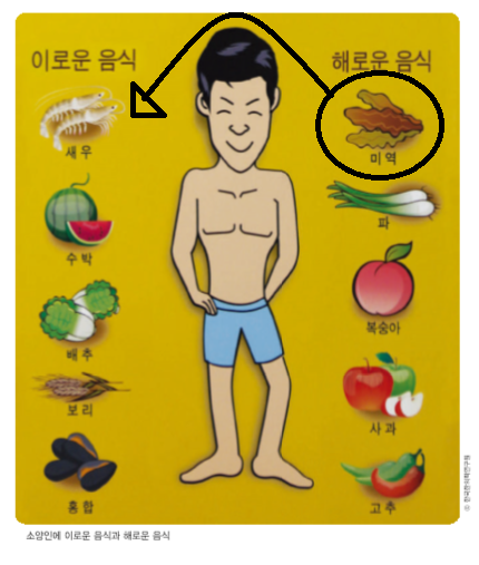  소양인 음식에 대하여(돼지고기, 보리 vs 홍삼, 인삼, 꿀, 닭고기)