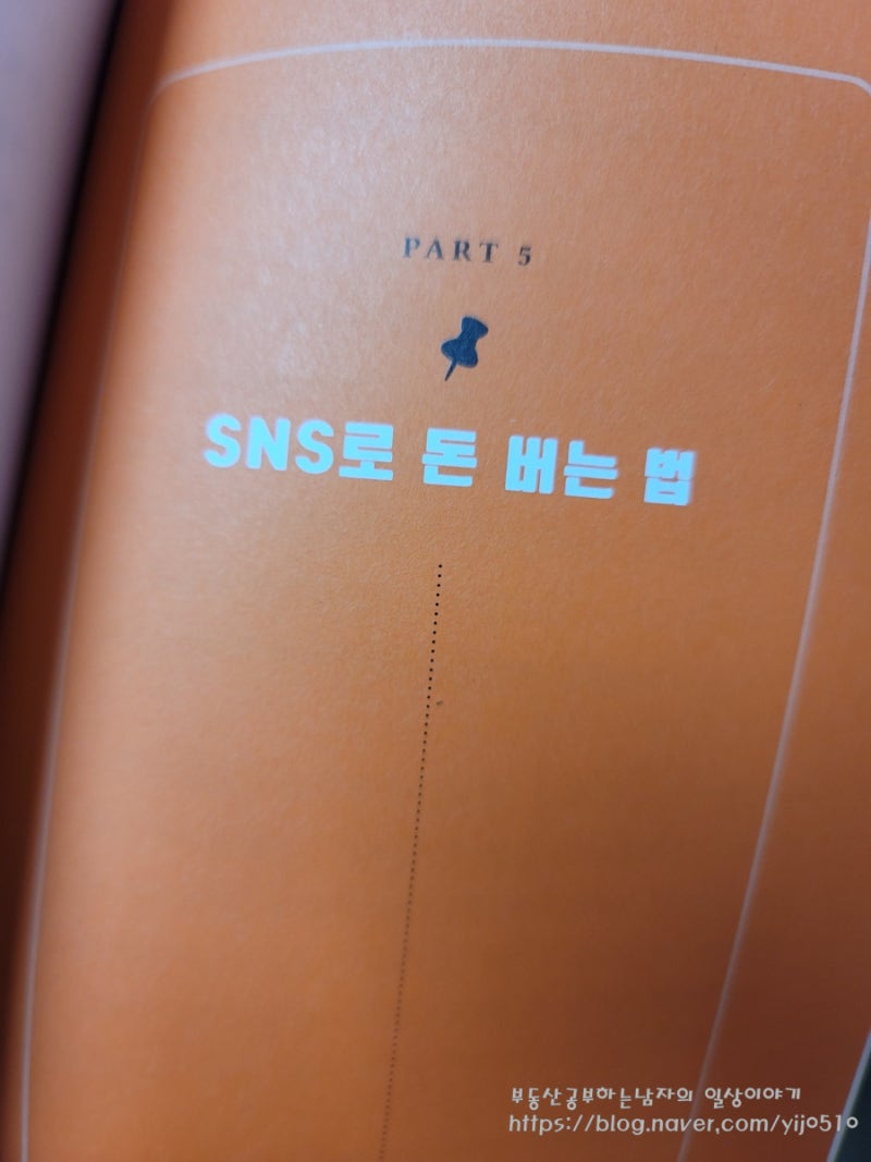 평범한 SNS로 월100벌기 N잡 추천도서 : 네이버 블로그