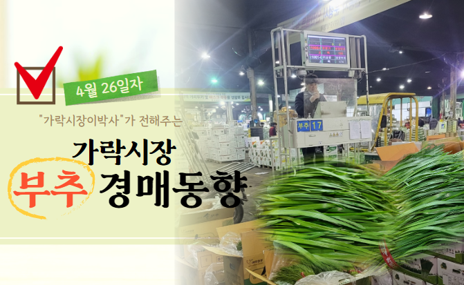  [경매사 일일보고] 4월 26일자 가락시장 부추 경매동향을 살펴보겠습니다!