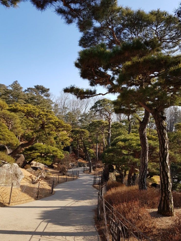  2022개정 교육과정과 IB 교육과정