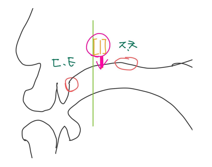  [해운대국어학원]유음화,구개음화,동화방향,동화정도