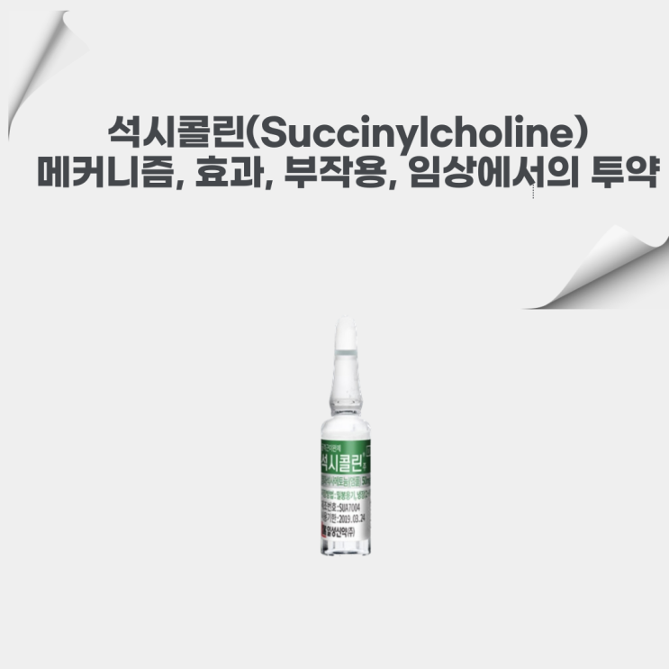 석시콜린(Succinylcholine) 약물 정보: 작용 메커니즘, 효과, 부작용, 위험성, 임상에서의 투약