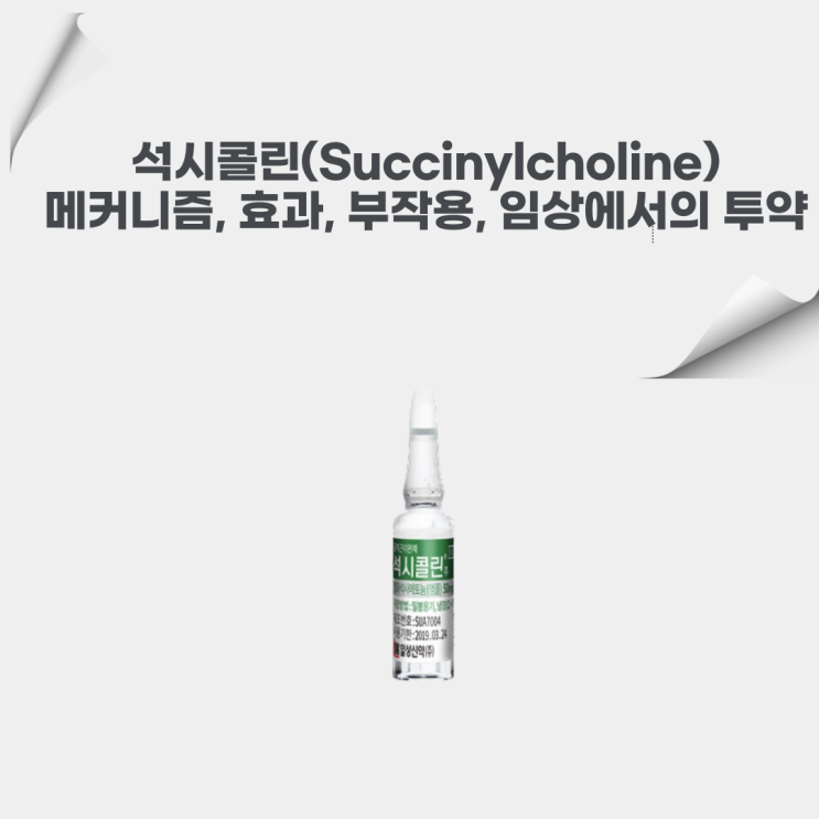  석시콜린(Succinylcholine) 약물 정보: 작용 메커니즘, 효과, 부작용, 위험성, 임상에서의 투약