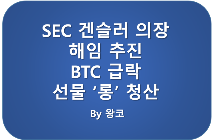  리플 소송 SEC 갠슬러 해임 추진 비트코인 급락