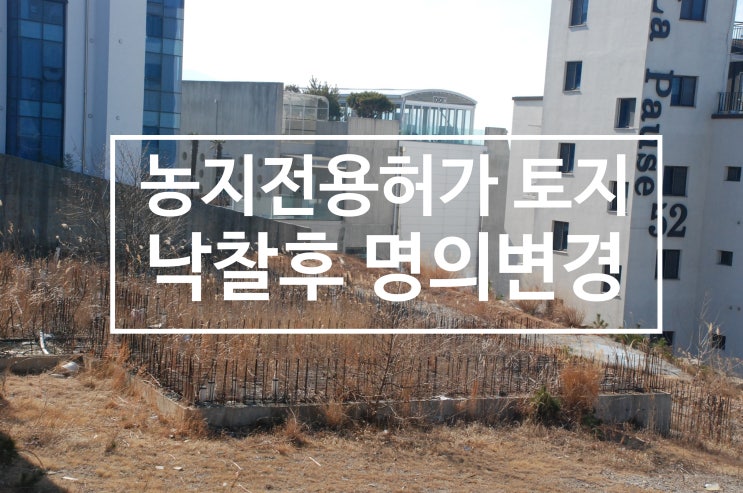  농지전용허가 있는 법원경매물건 낙찰과 해결방법