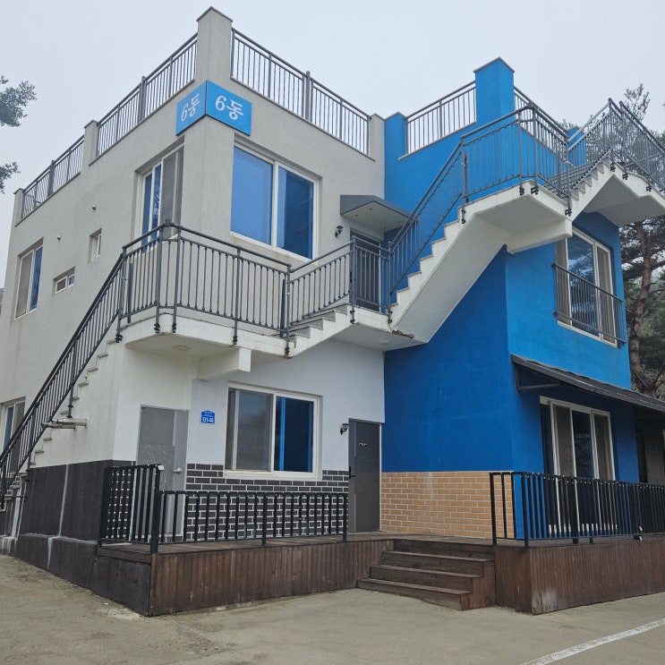  안면도펜션 태안애견동반펜션으로 태안풀빌라 블루아일랜드 추천합니다