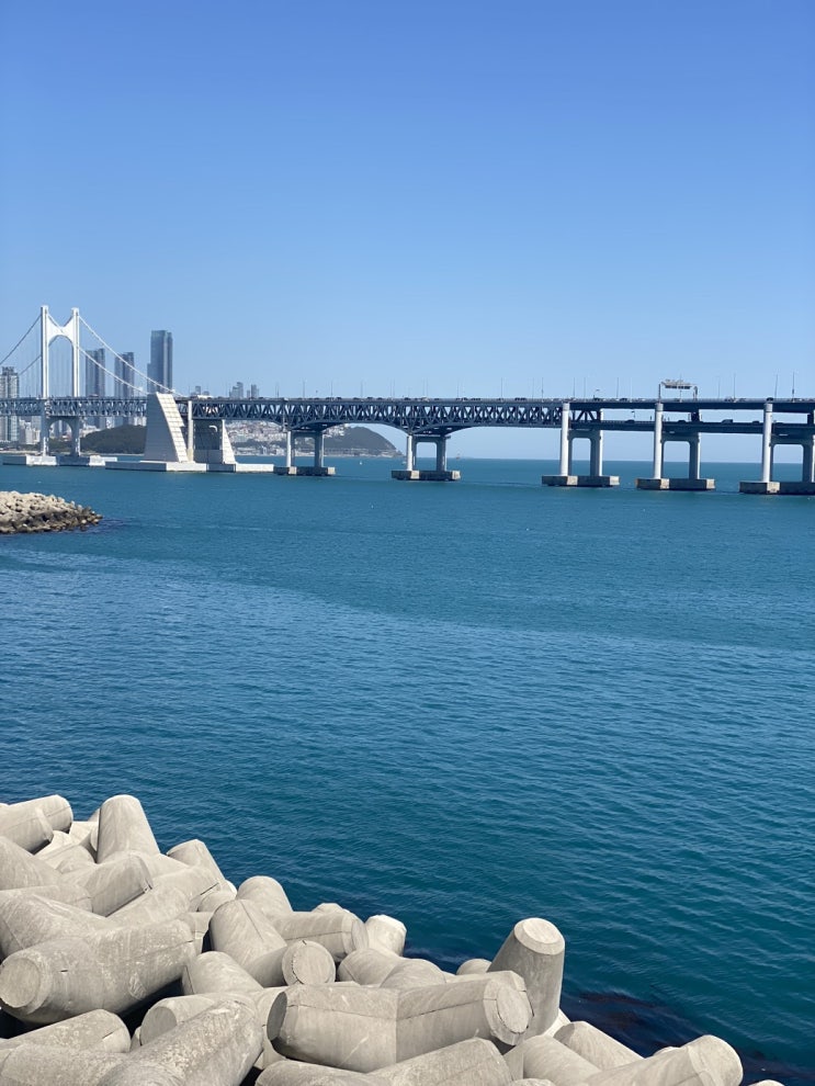  광안리 남천동카페 오션뷰 필소굿커피(내돈내산,무료주차)