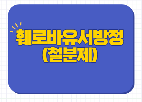  훼로바유서방정 효능 용량 부작용 가격 식후 복용법