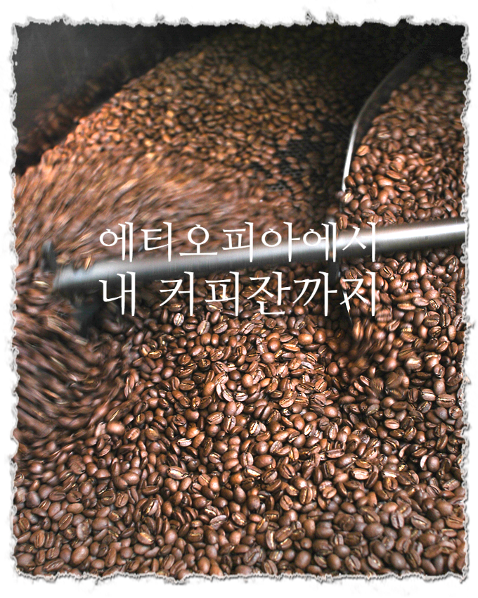  커피의 역사: 에티오피아에서 내 잔까지