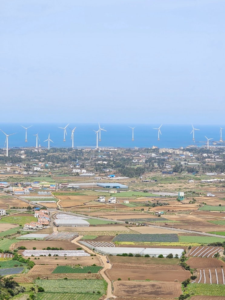  [제주여행] 당산봉, 또 하나의 송악산을 만나다!