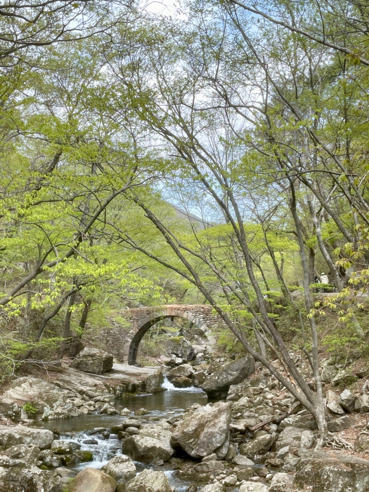  대충 남겨보는 무계획 뚜벅이 여행 / 순천(2) 선암사 산책 그리고 순천 동네 구경