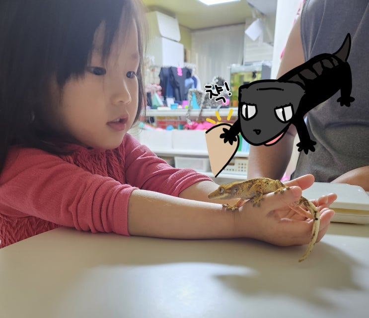  [크레게코] 힘든 2일을 게코에게 위로받기