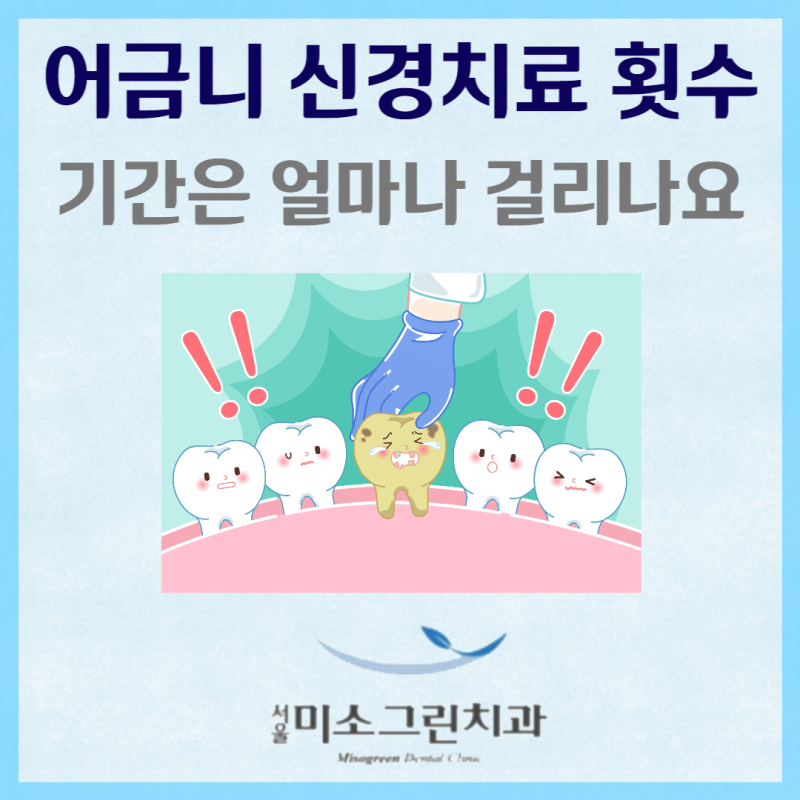 의정부 어금니 신경치료 비용을 조기에 상담하세요 6
