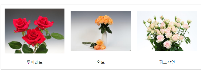 소비자 사로잡을 장미, 전문가 눈으로 뽑는다 소비자 사로잡을 장미, 전문가 눈으로 뽑는다