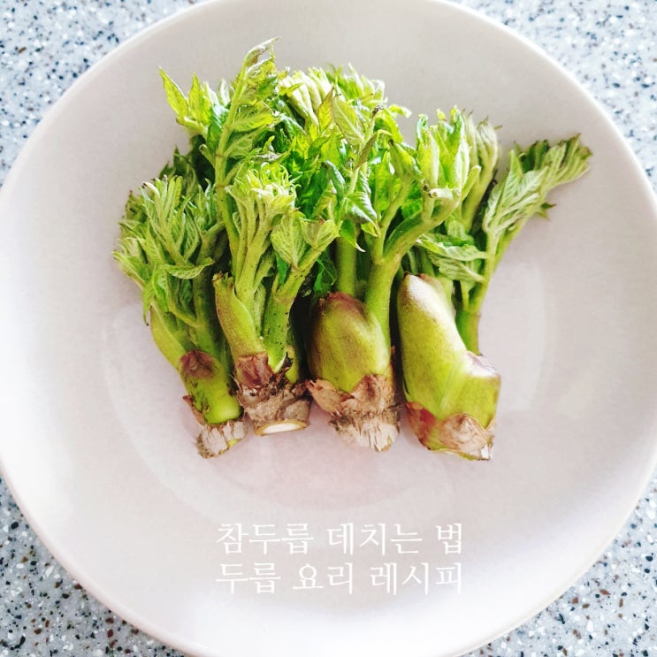  봄 제철 요리, 참두릅 두릅나물 손질하기 데치기 참두릅 효능 데치는 법