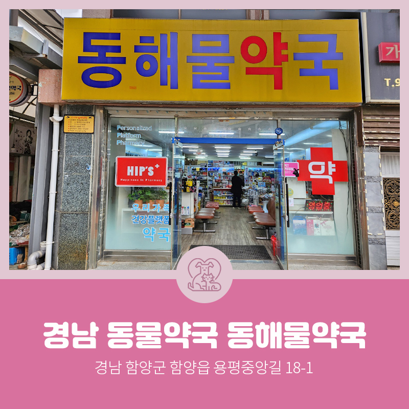 동해물약국 사진 1