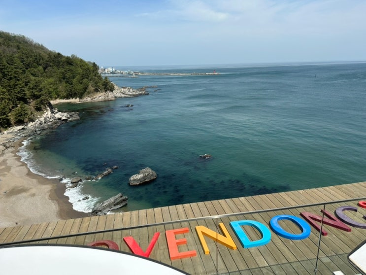  [삼척] 카페 오분동 CAFE OVENDONG