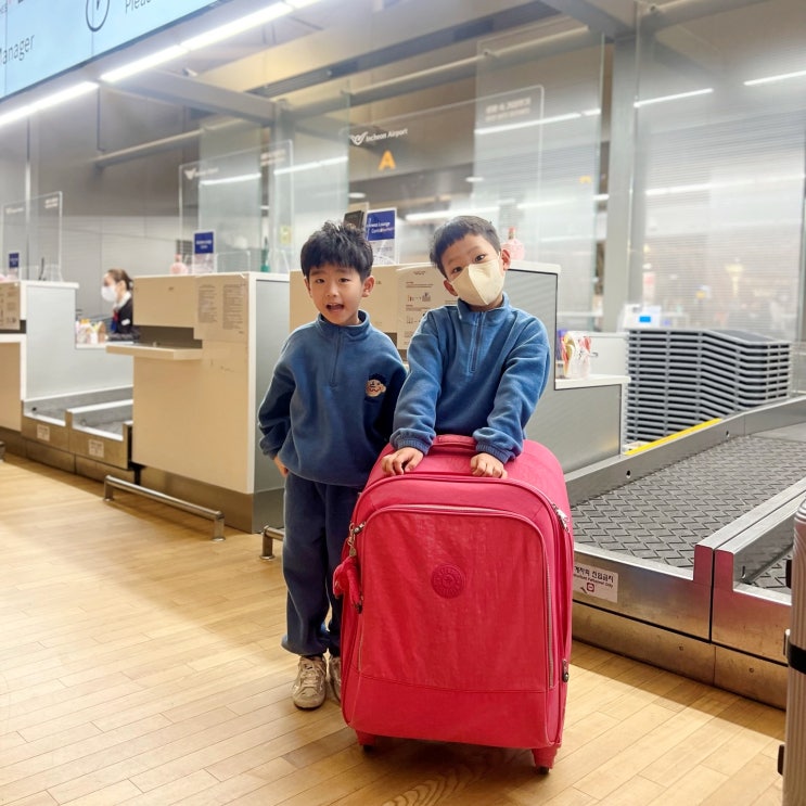  마닐라 아시아나항공 특별기내식 어린이식 신청