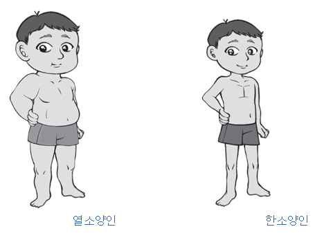  토체질(토양체질, 토음체질) 음식과 섭생
