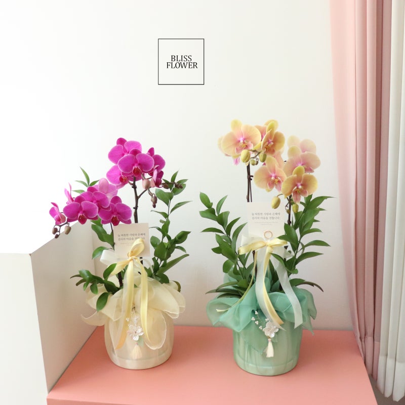 송도 어버이날 꽃배달 풍성한 꽃집, 사전 예약 할인까지 놓치지 마세요! 1