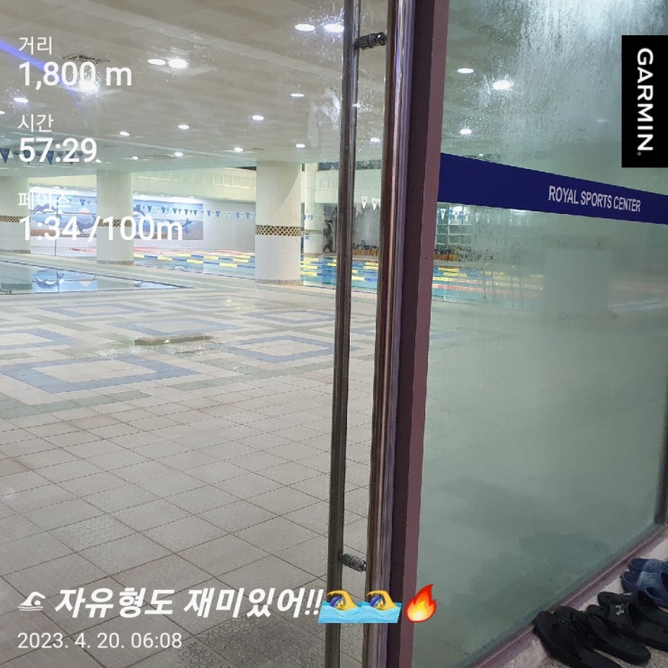  [수영일기] 4월 20일 살 빼야 잘 되는 수영