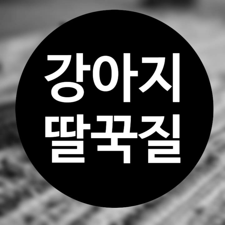 강아지 딸꾹질 상황별 원인과 해결방법은?