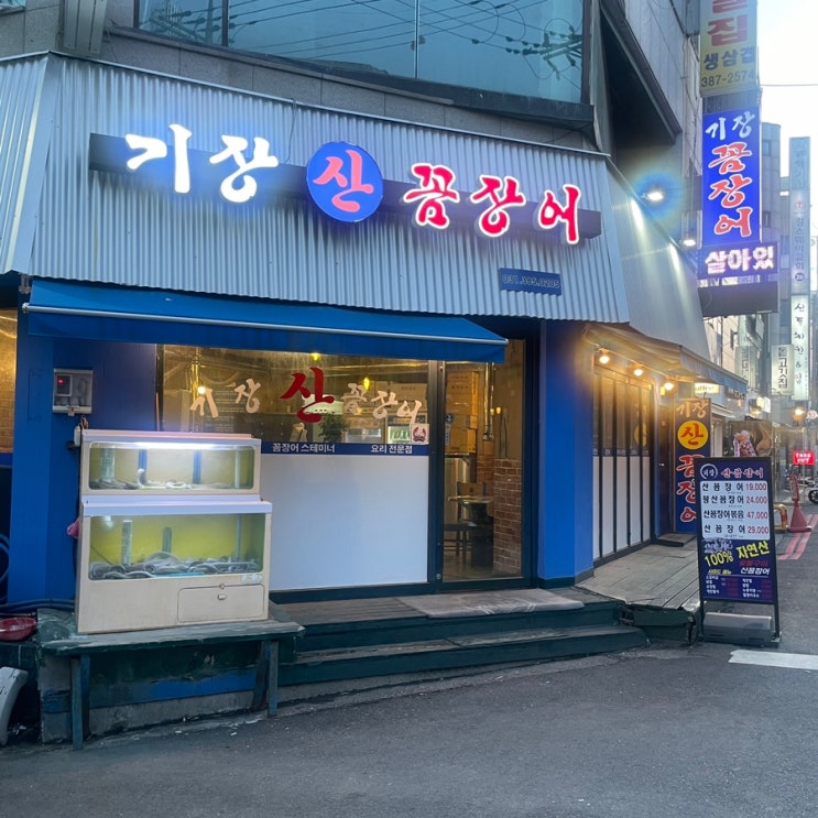 [안양] 기장꼼장어 : 싱싱한 수촌마을 산꼼장어 맛집