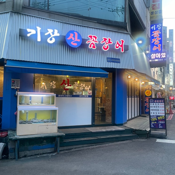  [안양] 기장꼼장어 : 싱싱한 수촌마을 산꼼장어 맛집