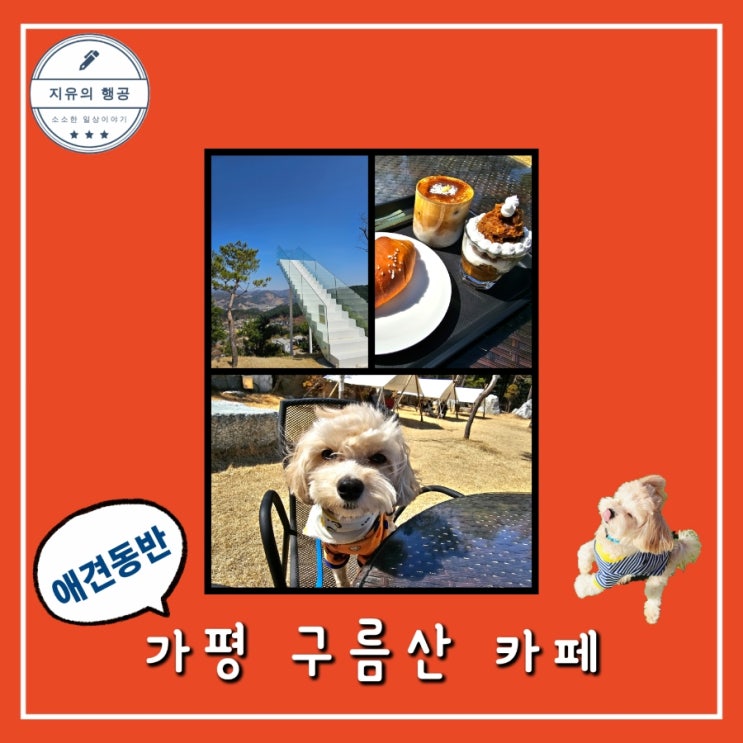  가평 <구름산 카페> 아침고요 수목원 근처 애견동반 내돈내산