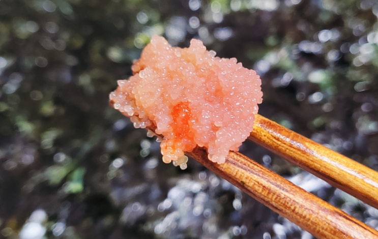 덕화명란 / 집나간 입맛을 제대로 사로잡았다 " 덕화명란 / 집나간 입맛을 제대로 사로잡았다 "